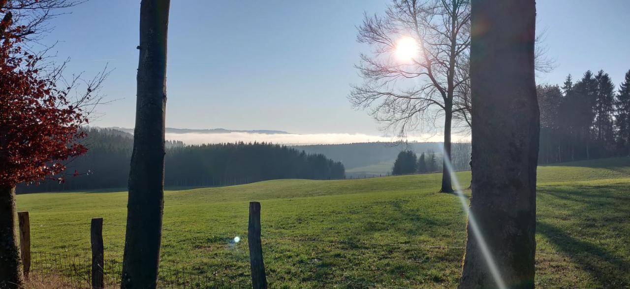 Ferienwohnung Talblick Dahlem Dahlem  Buitenkant foto