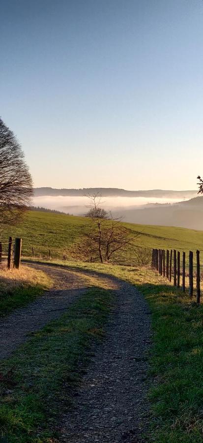 Ferienwohnung Talblick Dahlem Dahlem  Buitenkant foto