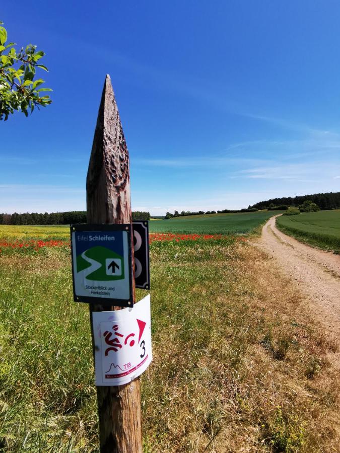 Ferienwohnung Talblick Dahlem Dahlem  Buitenkant foto