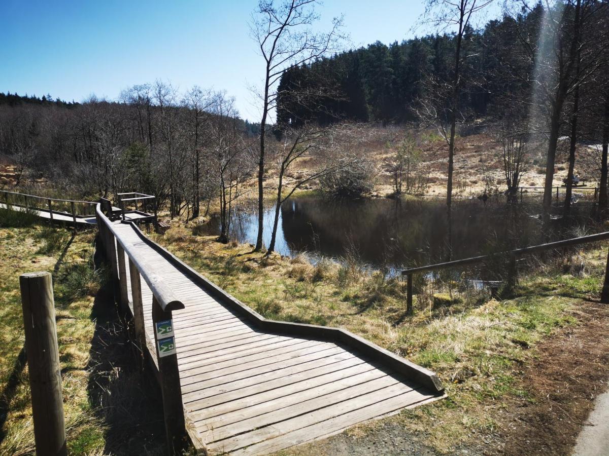 Ferienwohnung Talblick Dahlem Dahlem  Buitenkant foto