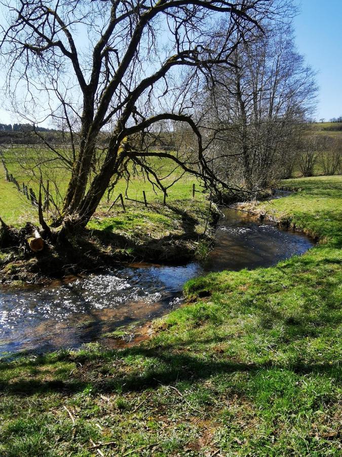 Ferienwohnung Talblick Dahlem Dahlem  Buitenkant foto