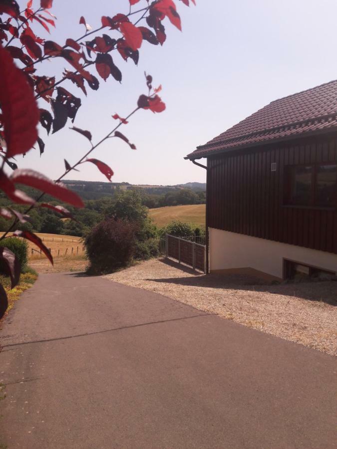 Ferienwohnung Talblick Dahlem Dahlem  Buitenkant foto